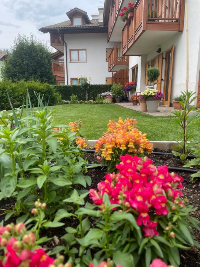 Casa Beba - Agenzia Dolomiti Affitti Apartment Кавалезе Екстериор снимка